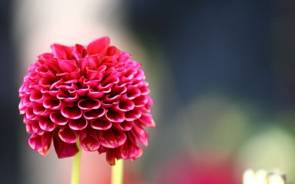 什么编程语言最难
