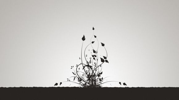 乐视延保 多少钱