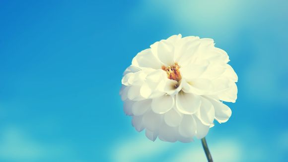 lettrs是什么意思